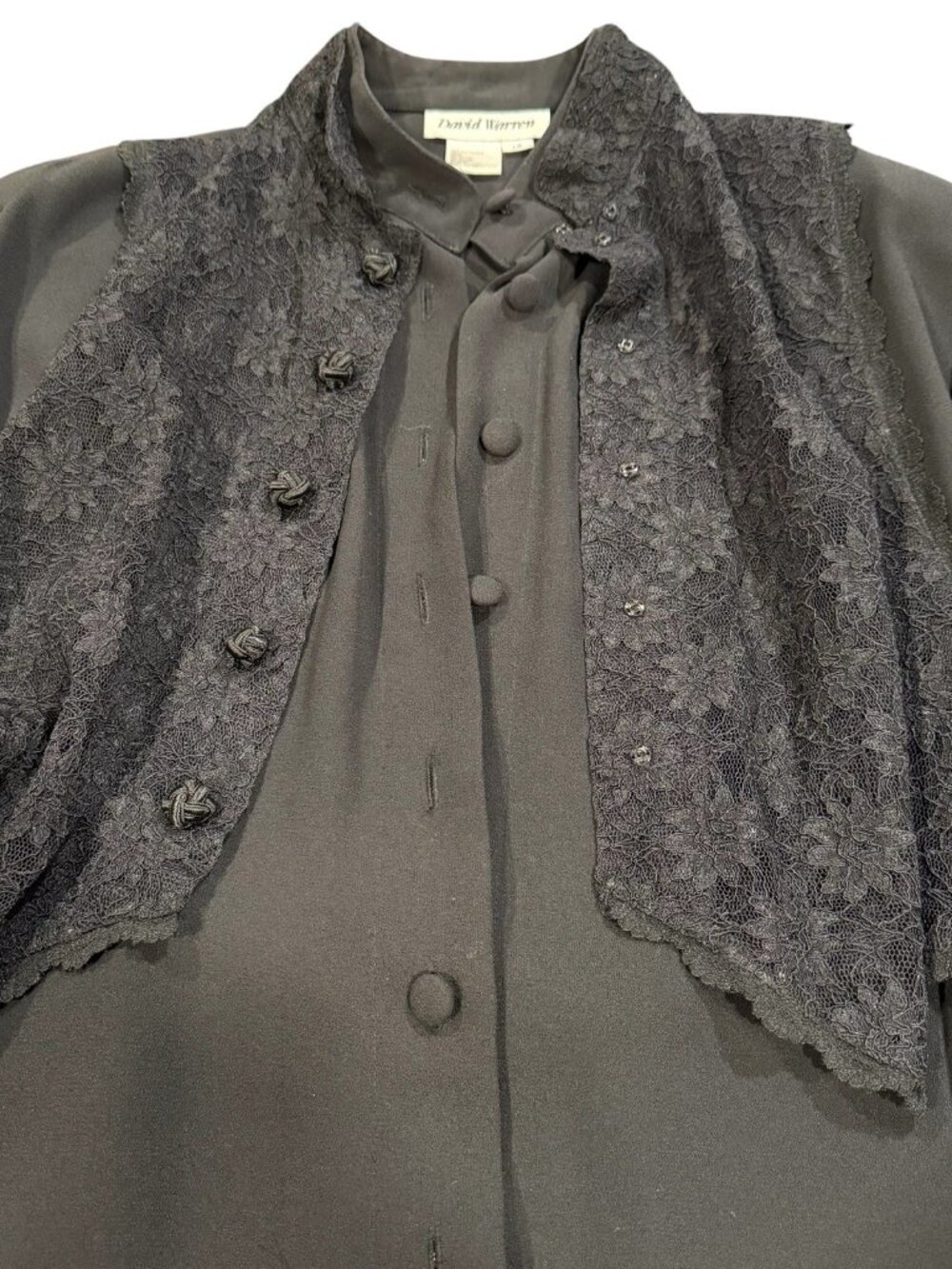 VTG David Warren Sz L Lace Vest Long Sleeve Button Front Midi Whimsigoth Dress - Picture 10 of 11